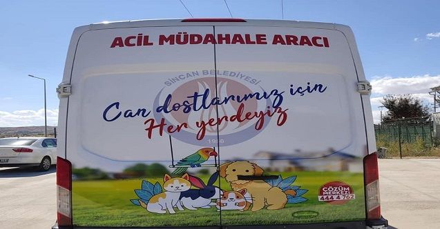 Ankara Sincan’da sokak hayvanları için acil müdahale aracı hizmet veriyor 1